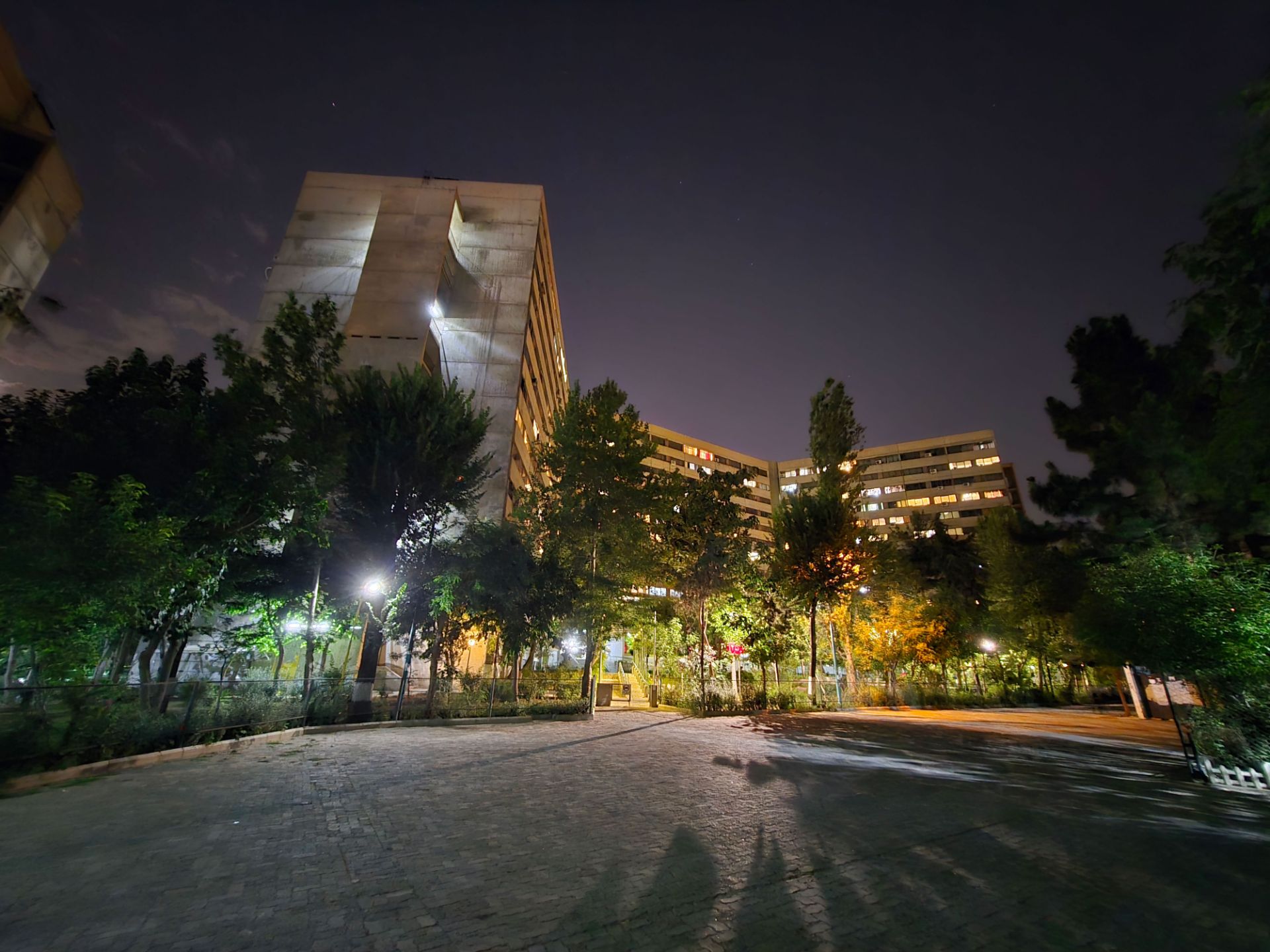 Residential building and trees at night