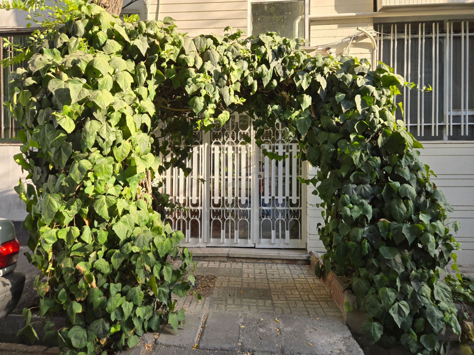 The plant at the entrance of the building