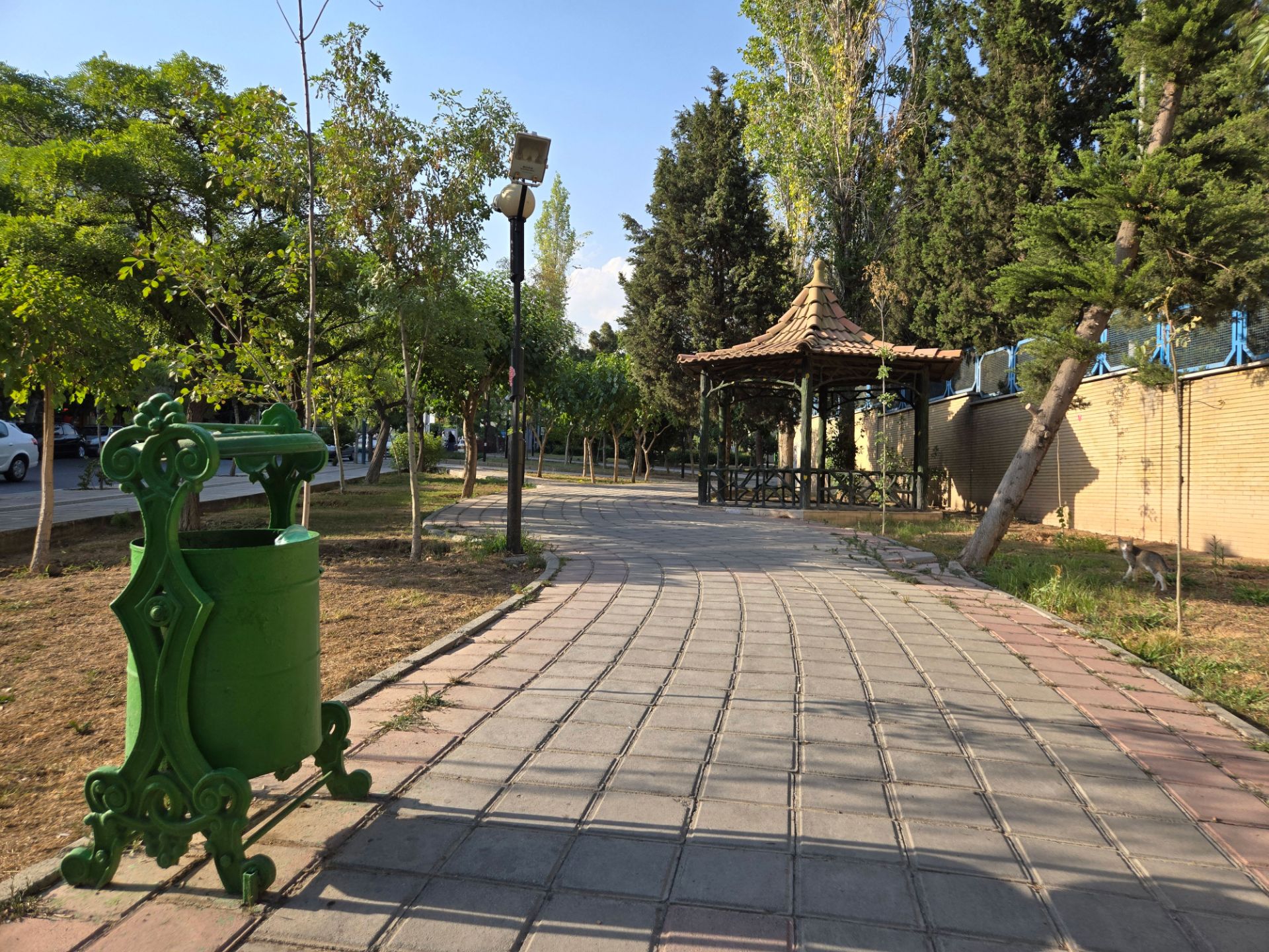 Crossing path in the park