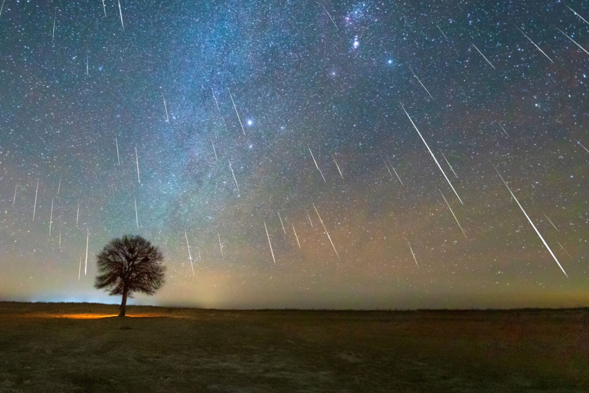 بارش شهابی راه شیری ستاره ها شب درخت