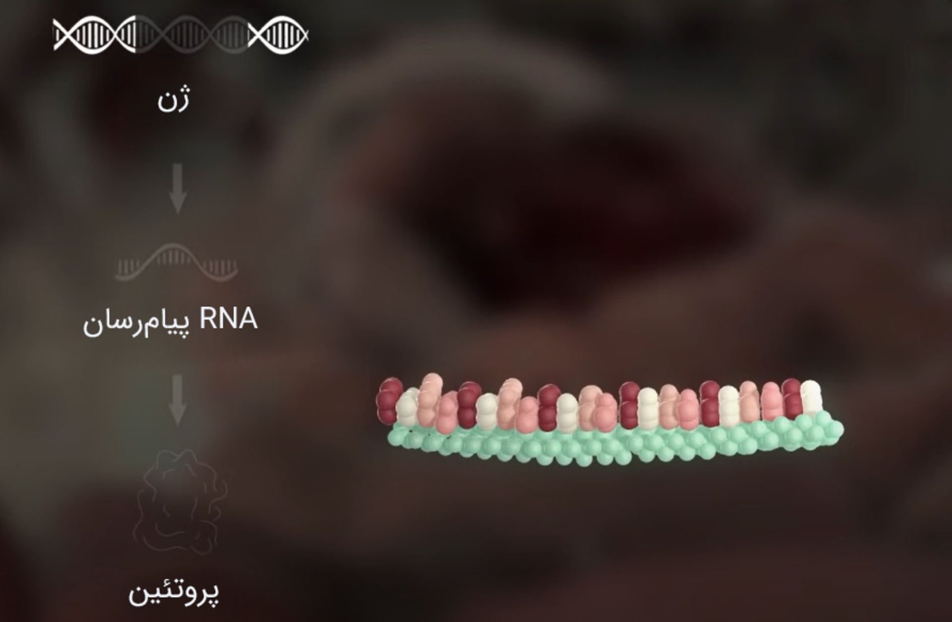 خاموشی ژن