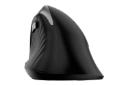 نمای پشتی ماوس جنیوس Genius Ergo 8250S