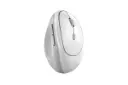 ابعاد و اندازه ماوس جنیوس Ergo 8350S