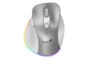 رنگ خاکستری ماوس جنیوس Genius Ergo 9000S Pro