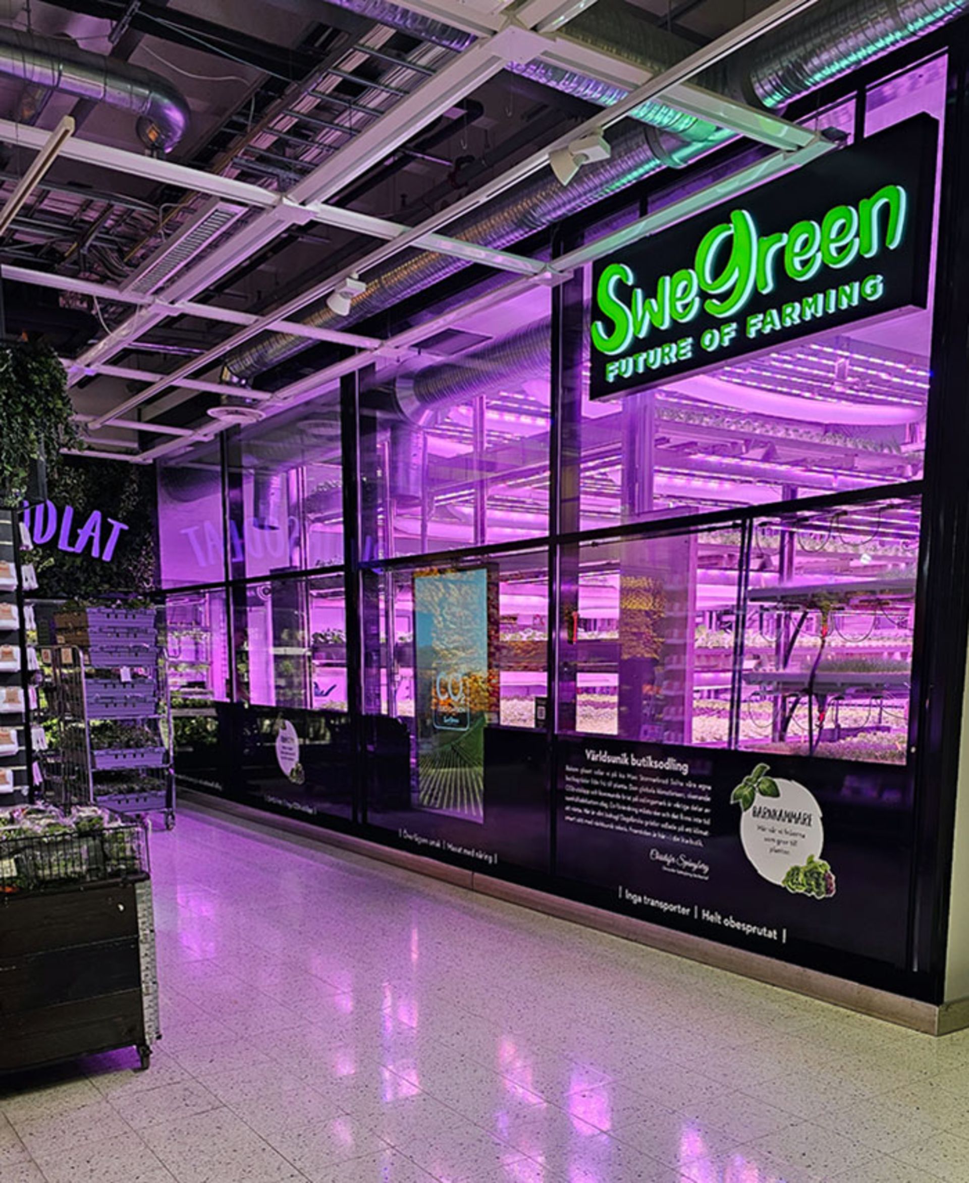 بخش پرورش گیاه در فروشگاه