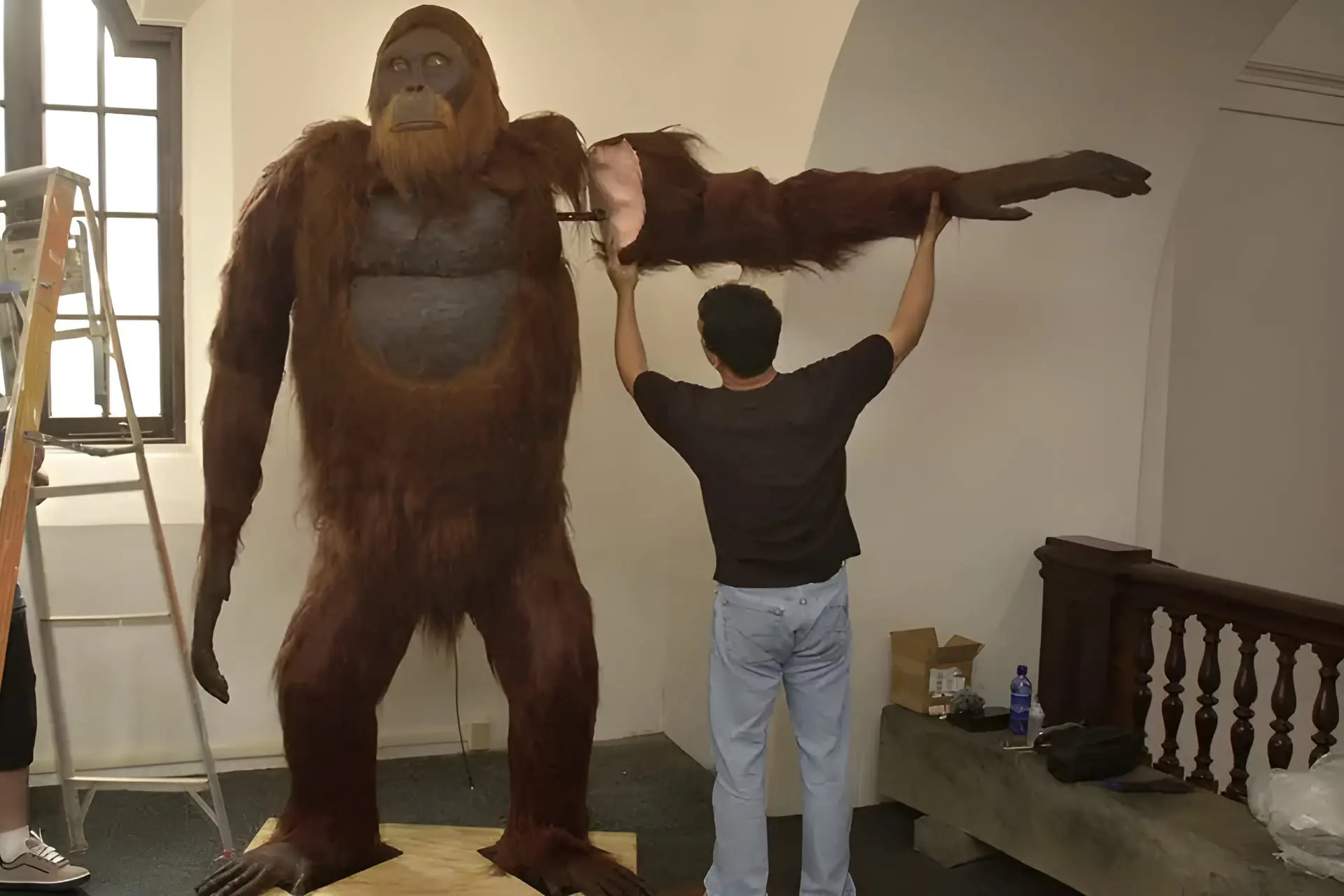 مجسمه بزرگ میمون (Gigantopithecus) در حال آماده‌سازی توسط یک تکنسین