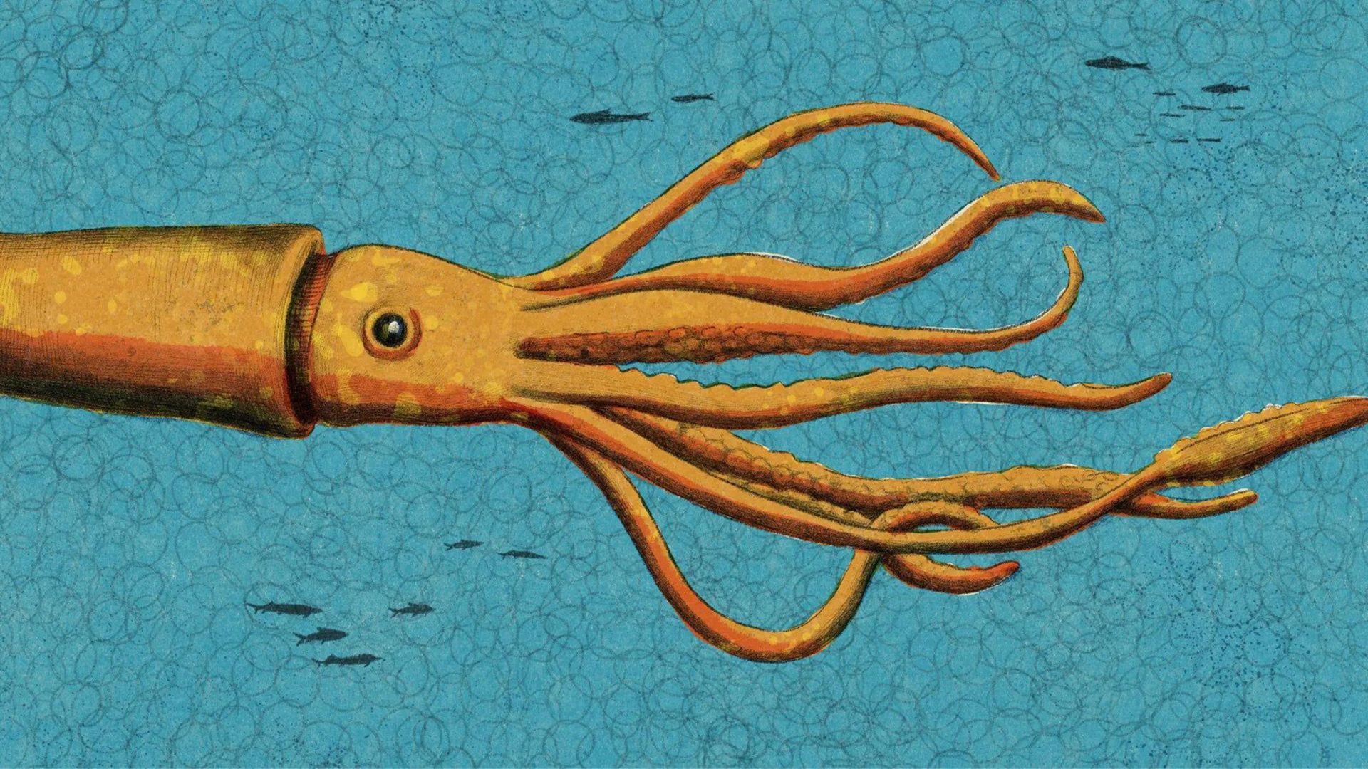 ماهی مرکب غول‌پیکر