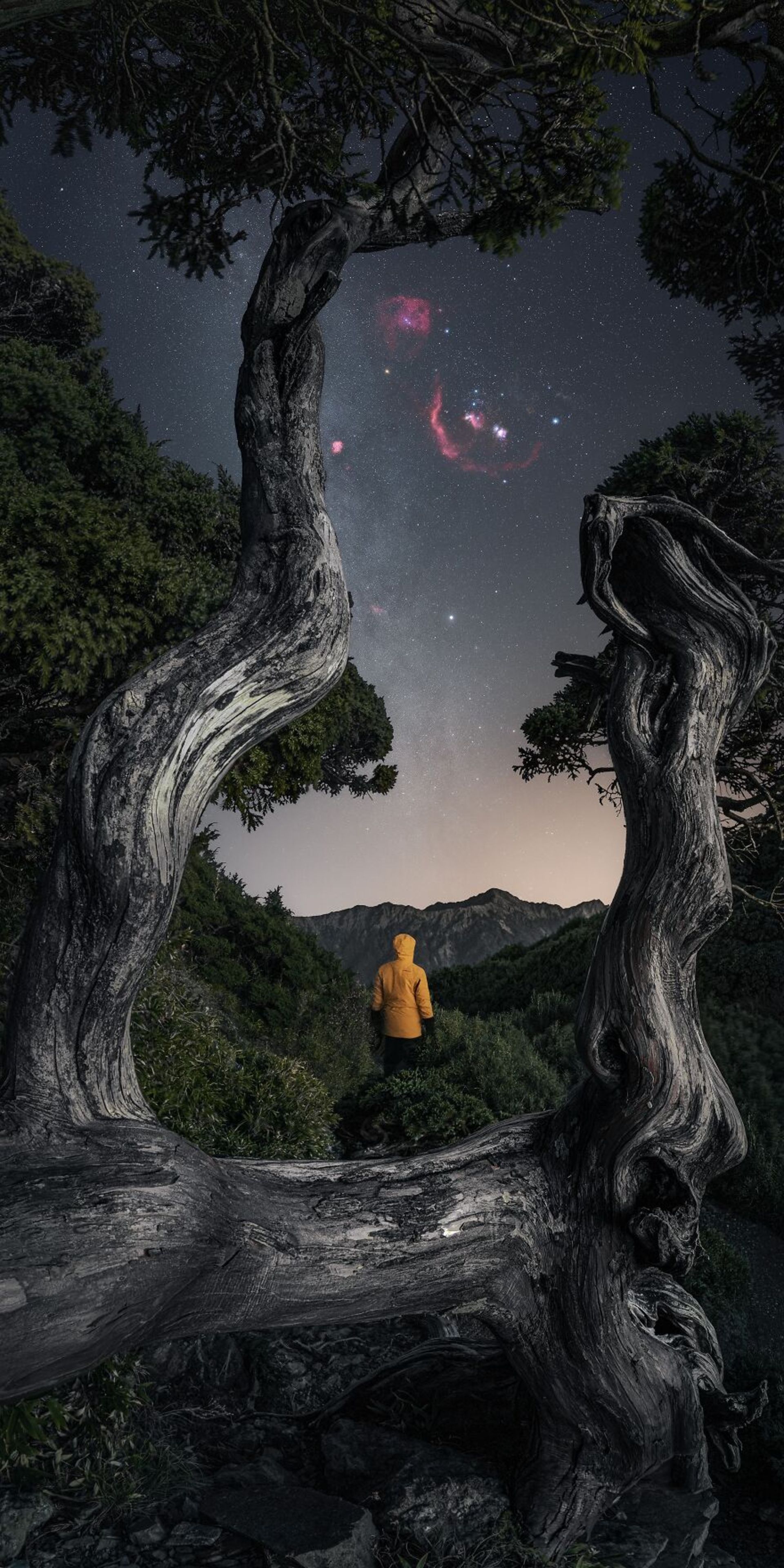 برندگان مسابقه عکاسی توکیو ۲۰۲۳