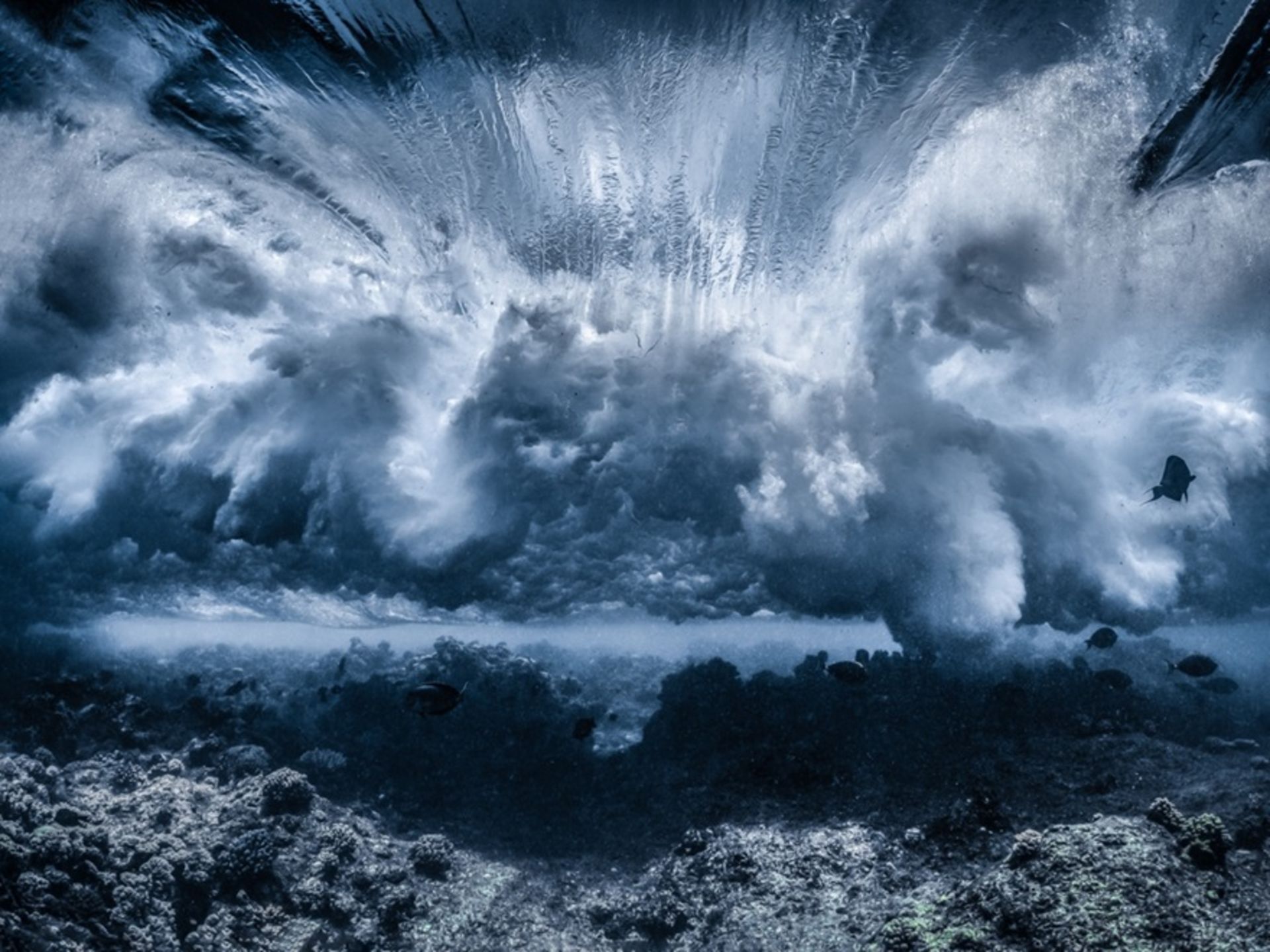 برندگان مسابقه عکاسی توکیو ۲۰۲۳