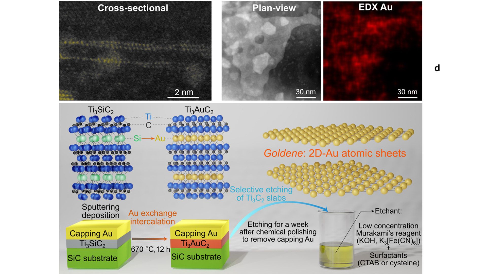 آماده‌سازی گلدن