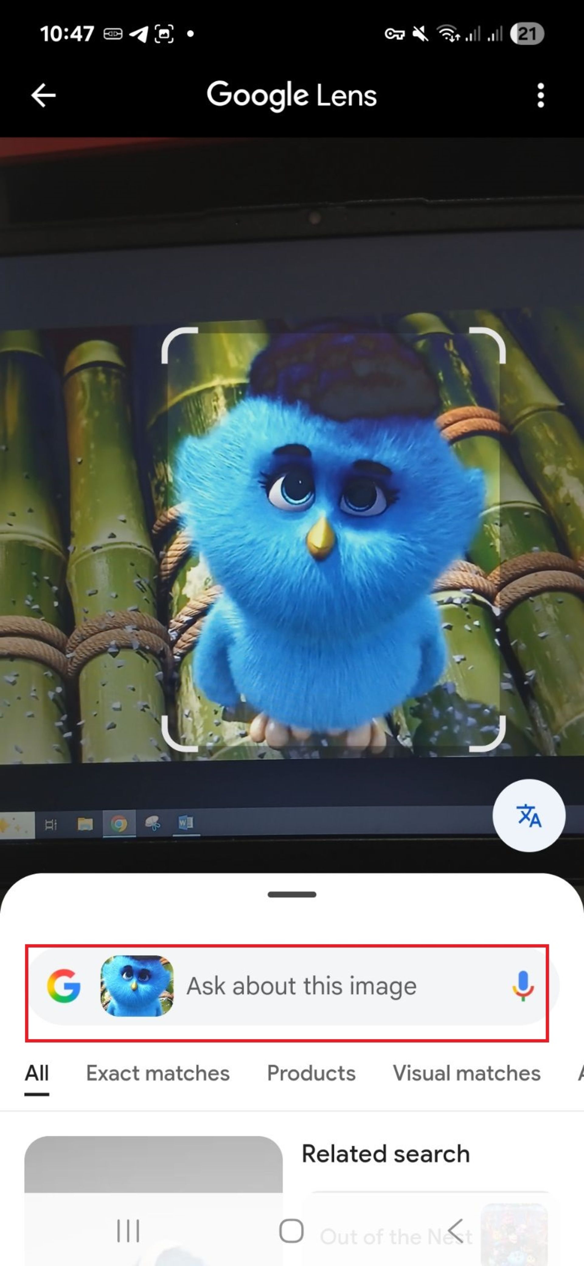 نتایج جست‌وجوی تصویر در گوگل لنز