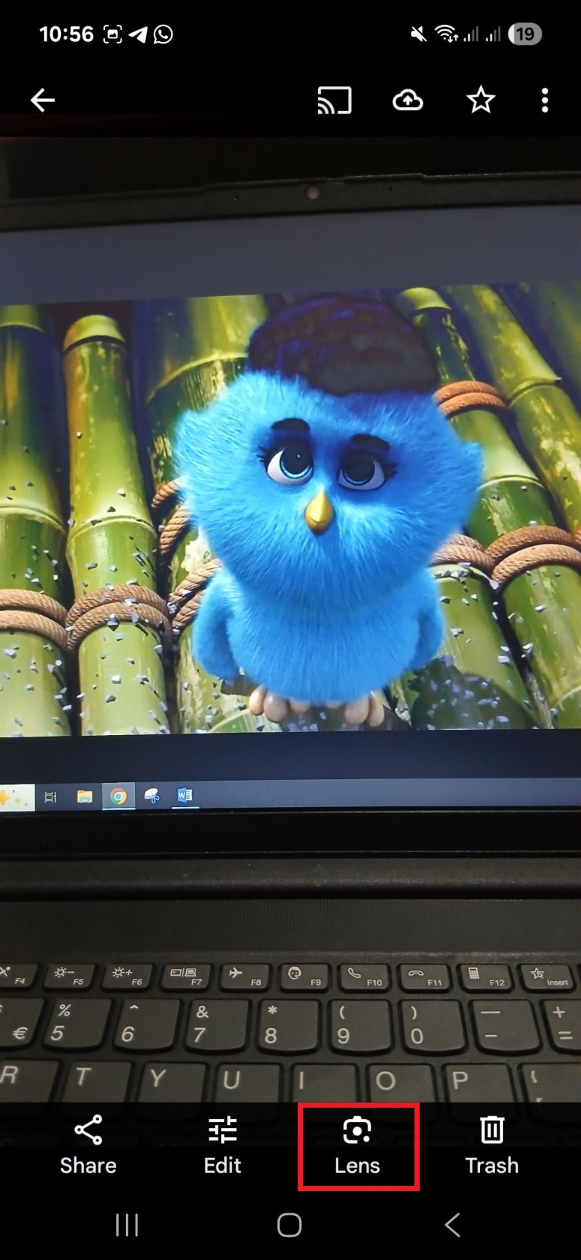 جستجوی تصاویر ازطریق Google Photos