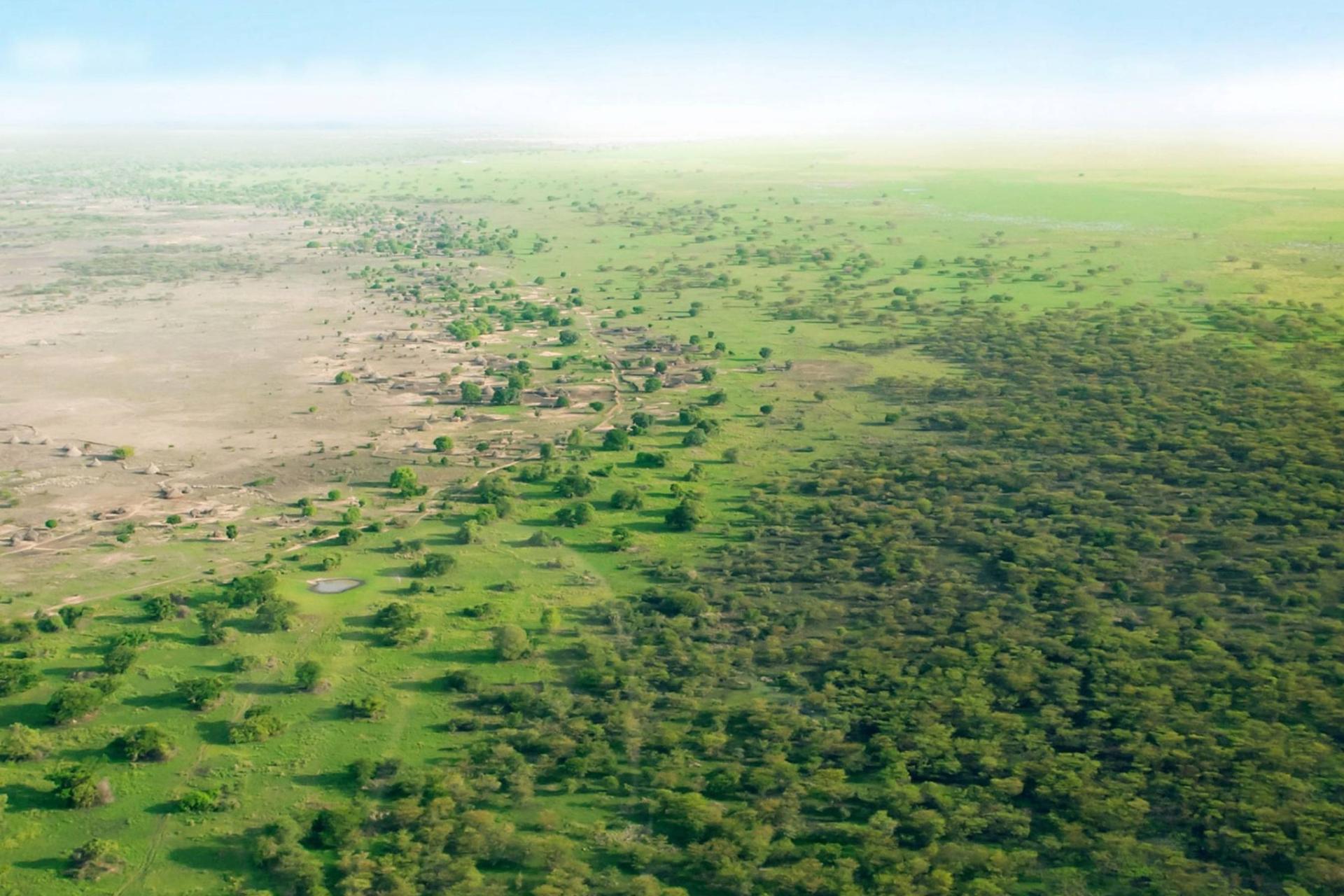 پروژه سرسبزسازی دیوار بزرگ سبز چین