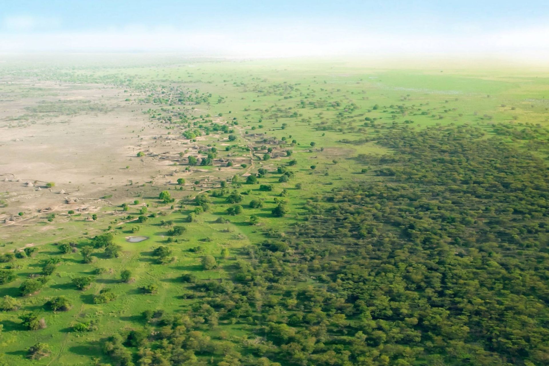 پروژه سرسبزسازی دیوار بزرگ سبز چین