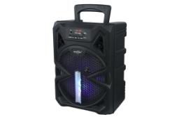 قدرت و توان اسپیکر گریت نایس GTS-1300