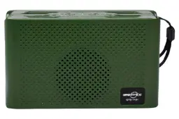 ابعاد و اندازه اسپیکر گریت نایس GTS-1431