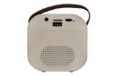 کانکتور و اتصال اسپیکر گرین لیون Duet Echo Lite