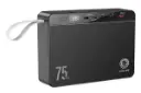 پاور بانک گرین لیون Green Lion Power Volt 75000mAh