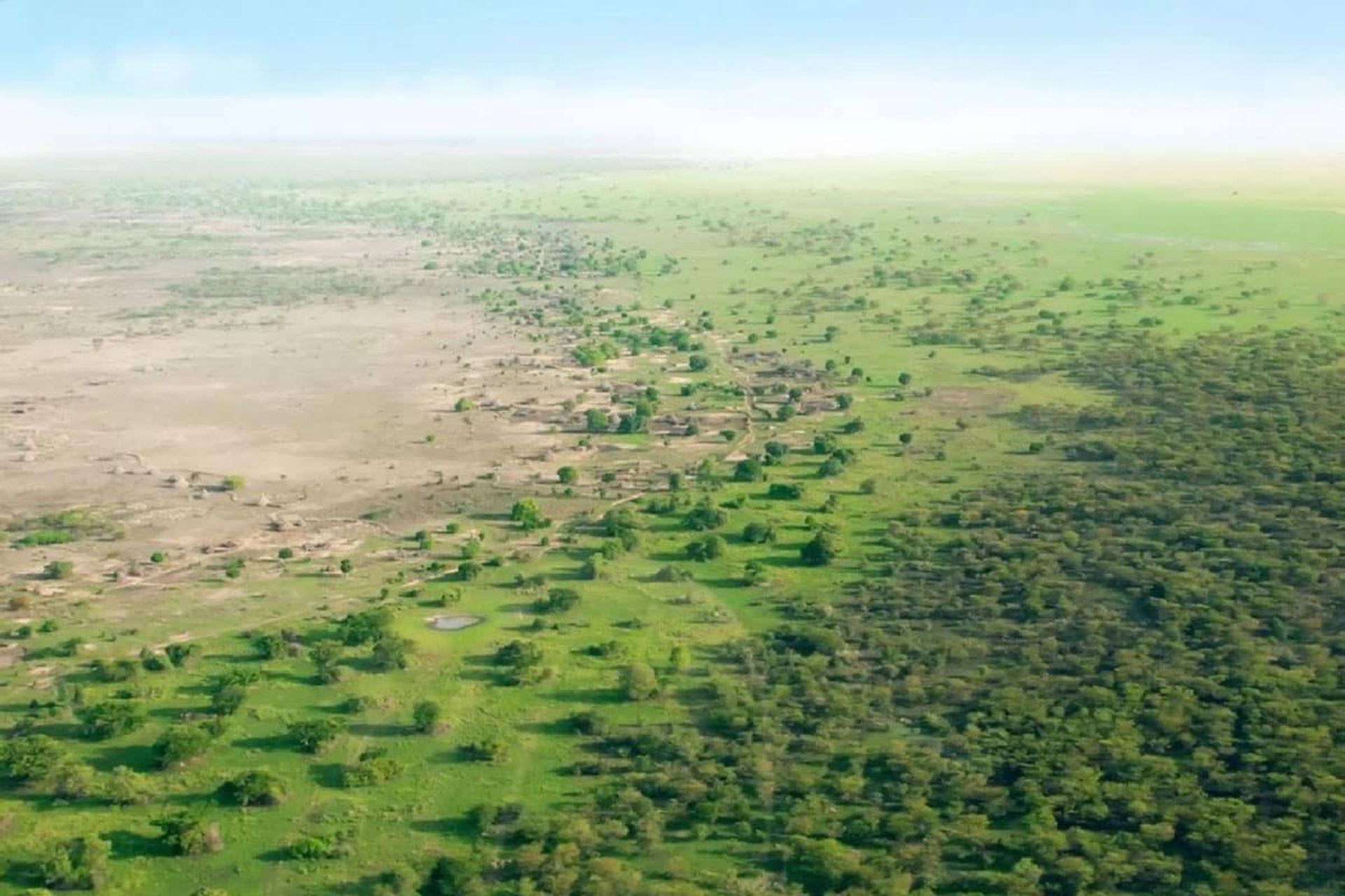 سبز شدن بیابان