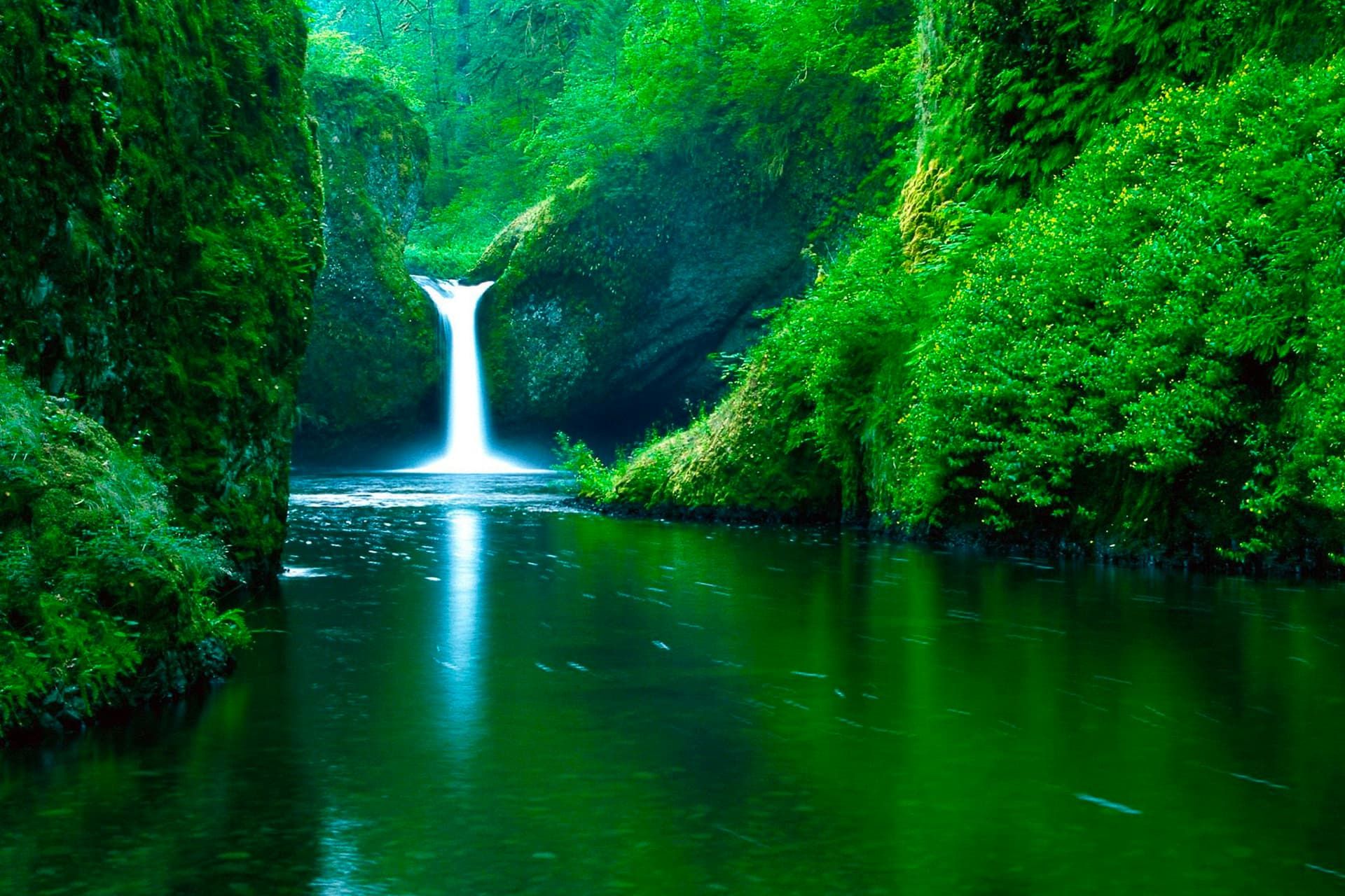 منظره سرسبز با رودخانه در روز روشن