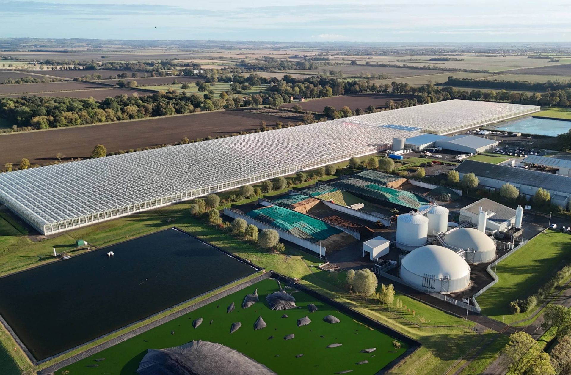 گلخانه توت فرنگی و هاضم‌های بی هوازی