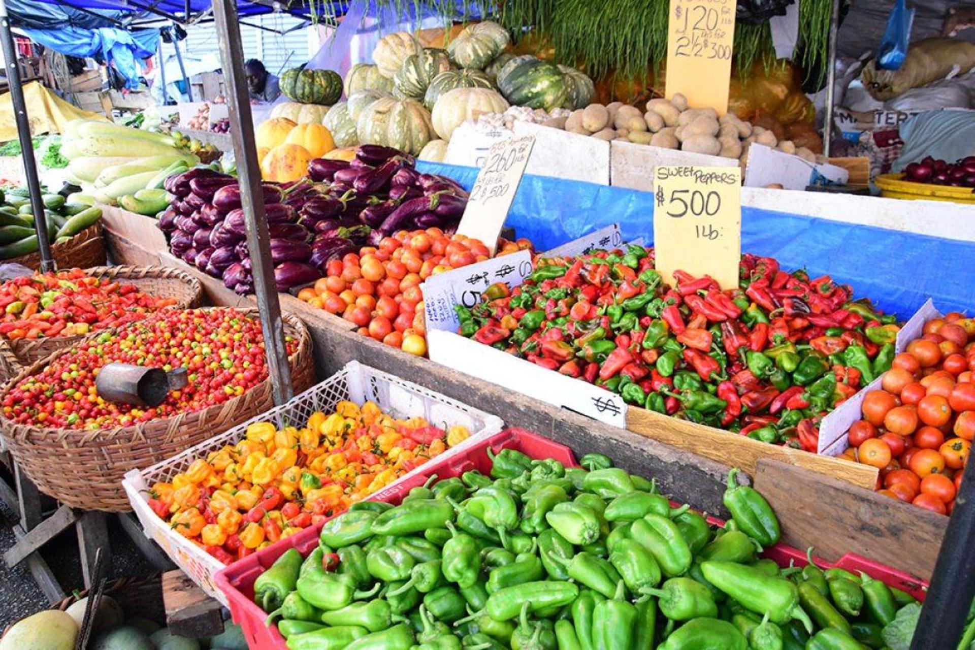 مواد غذایی