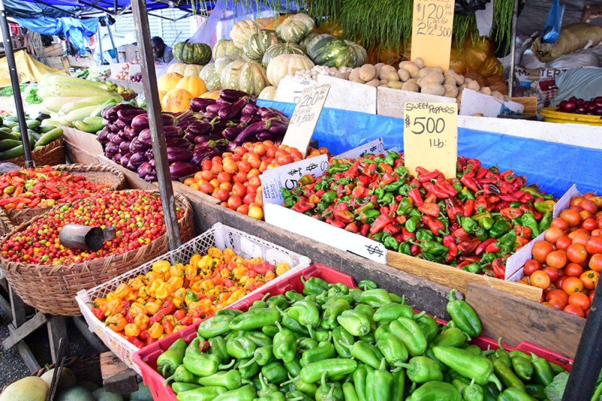 مواد غذایی