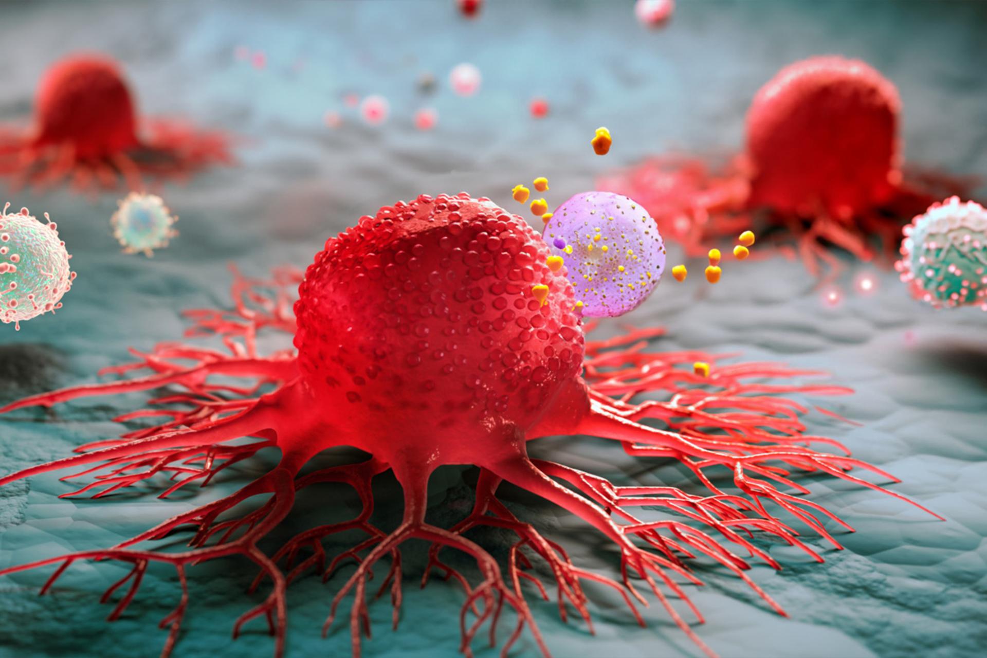 کدام سرطان‌ها بالاترین نرخ مرگ و میر را دارند؟