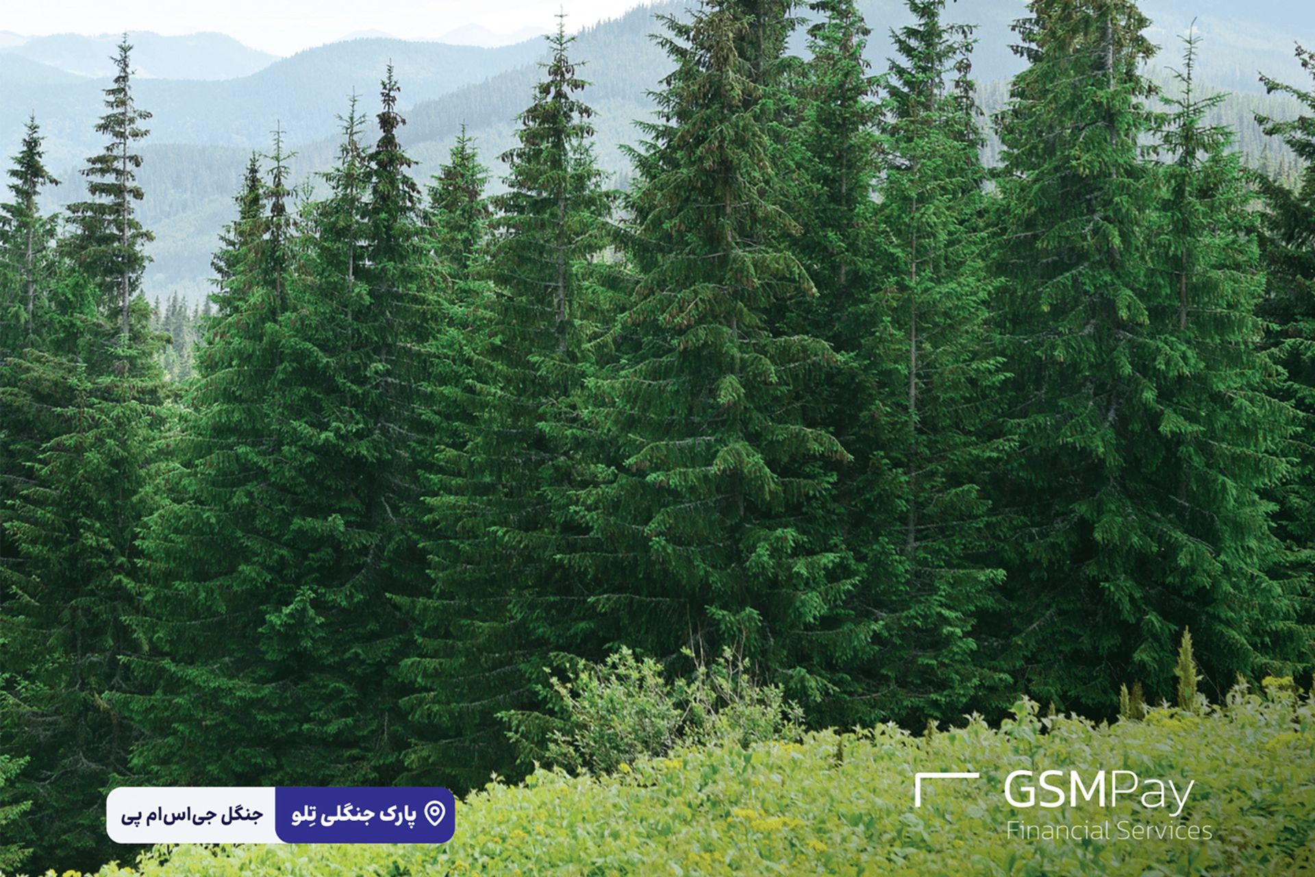 پروژه جنگل GSMPay