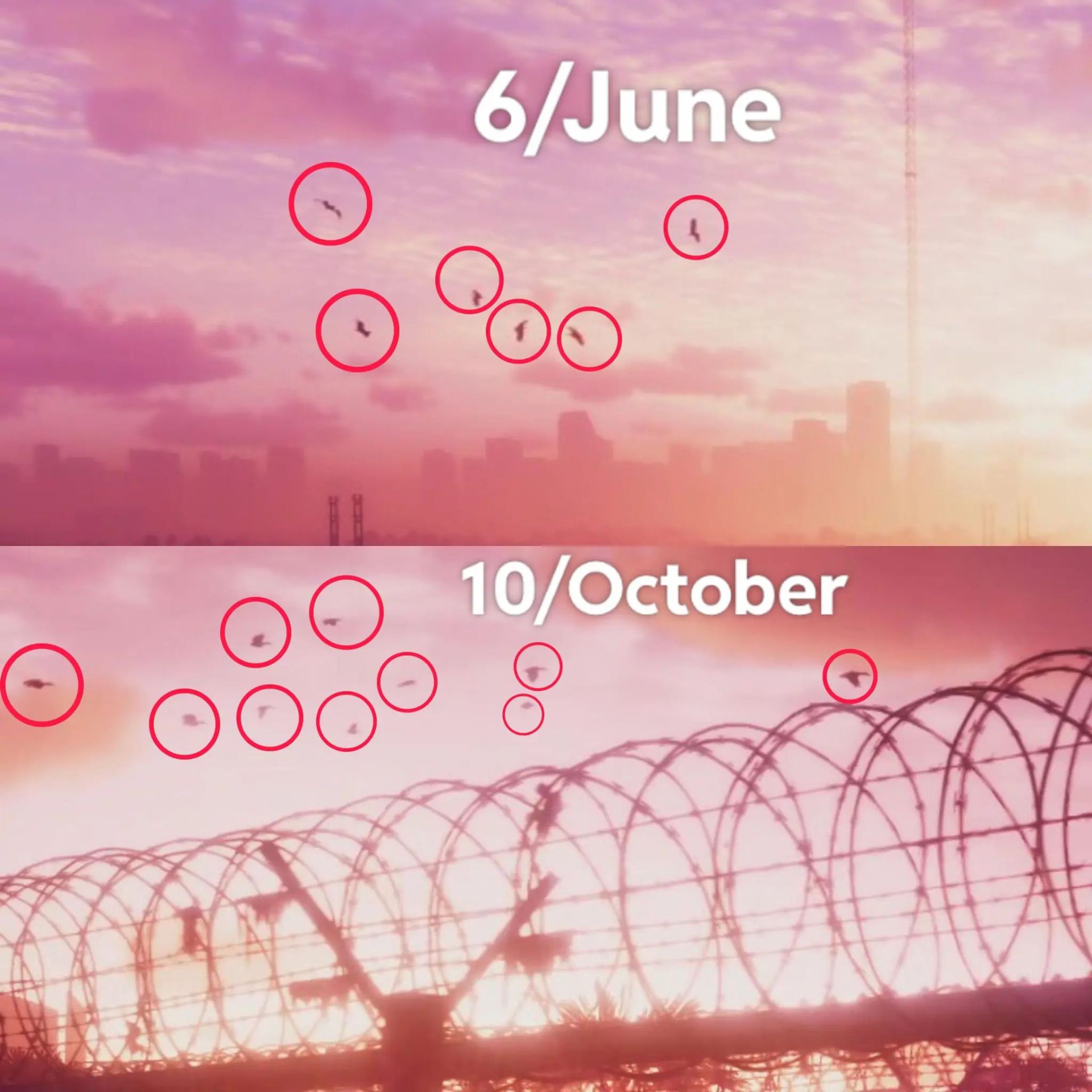 شکل پرندگان در اولین تریلر رسمی بازی GTA 6 و اشاره با تاریخ انتشار تریلر بعدی