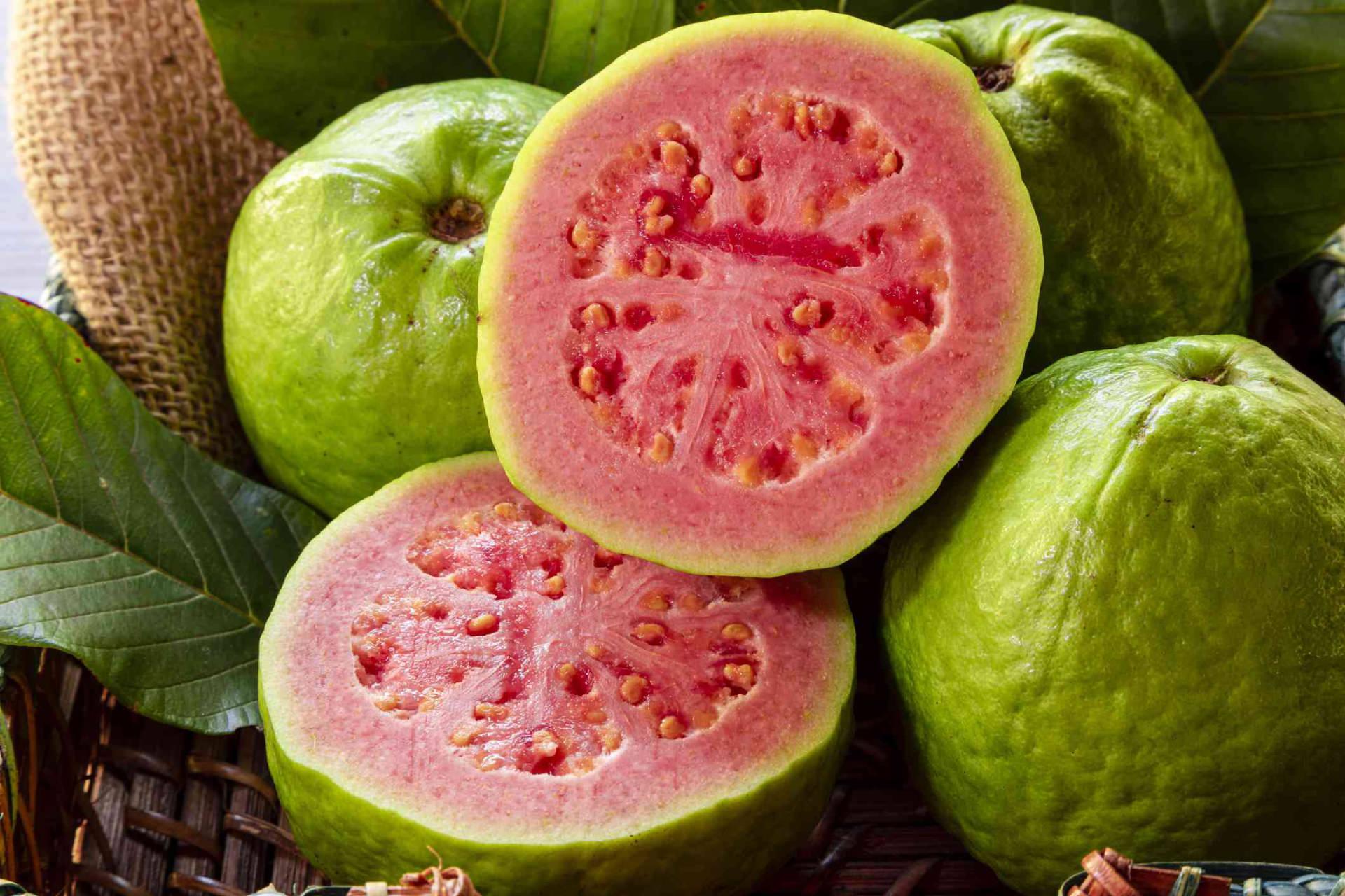 میوه گواوا یا میوه بهشتی یا زیتون محلی