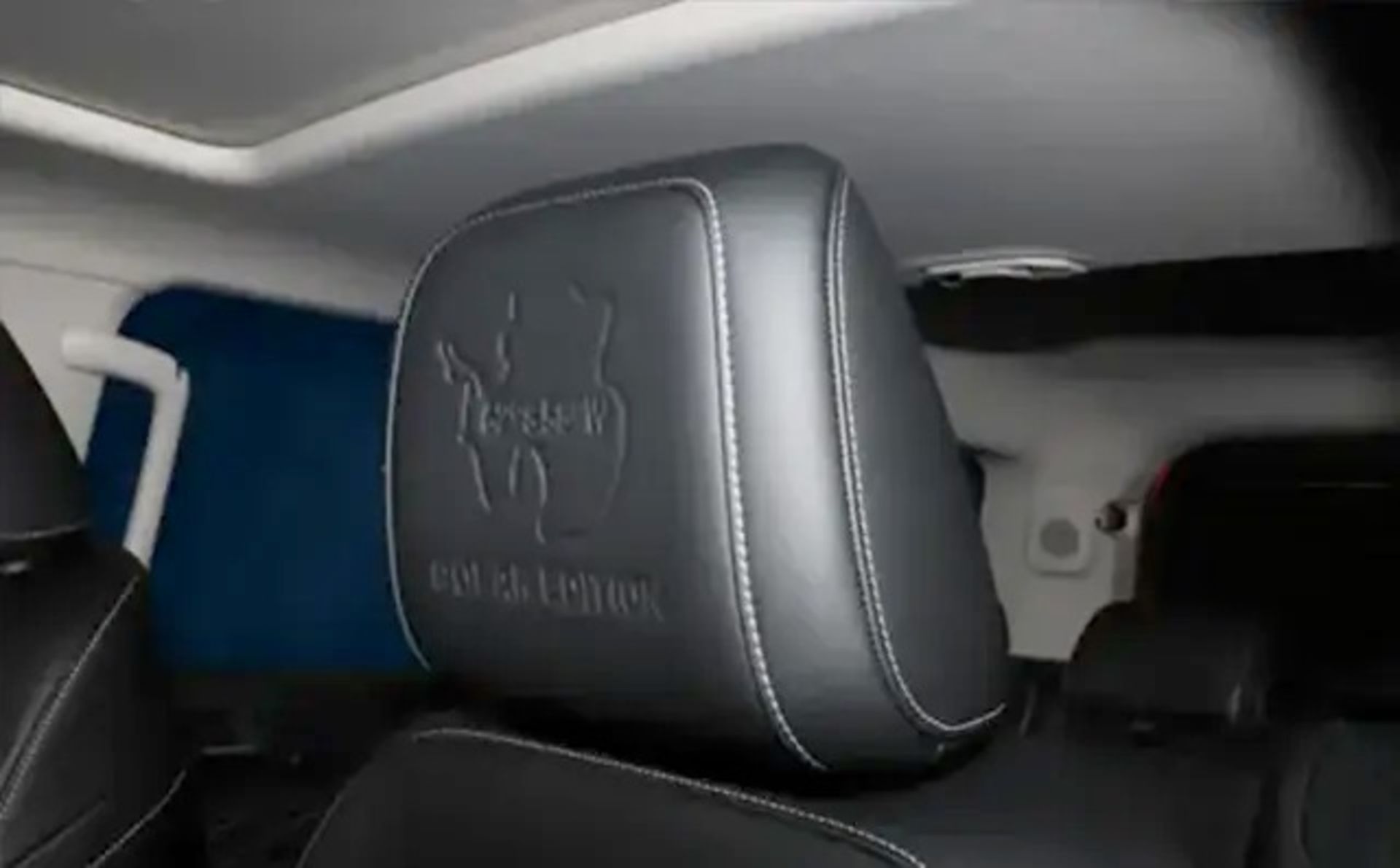 لوگو حکاکی‌شده روی پشت‌سری خودرو تانک ۳۰۰ پولار ادیشن