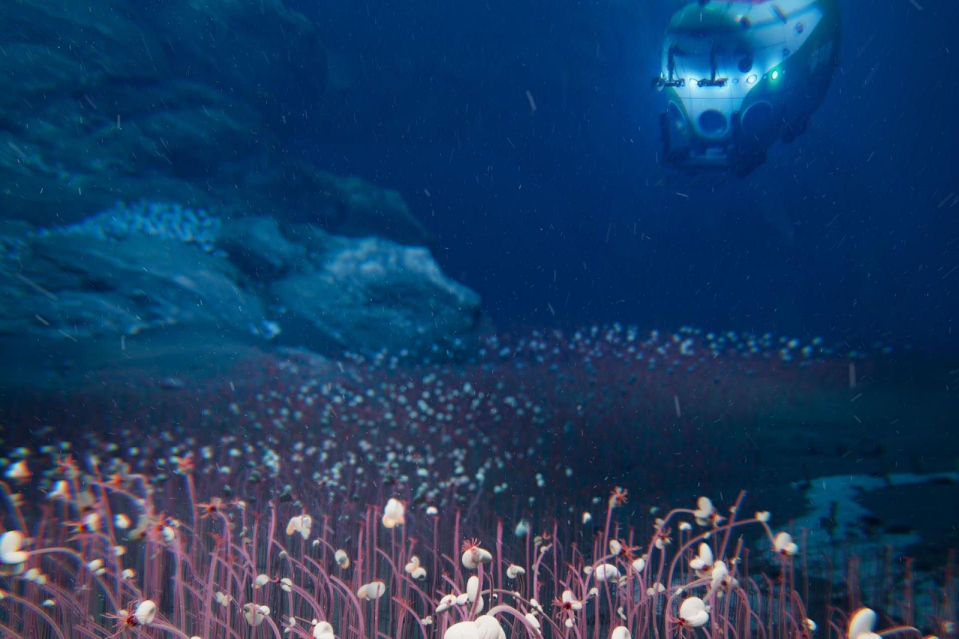 عمیق‌ترین اکوسیستم پیچیده زمین در عمق ۹۵۳۳ متری منطقه‌ی هادال یا ناحیه فراژرف