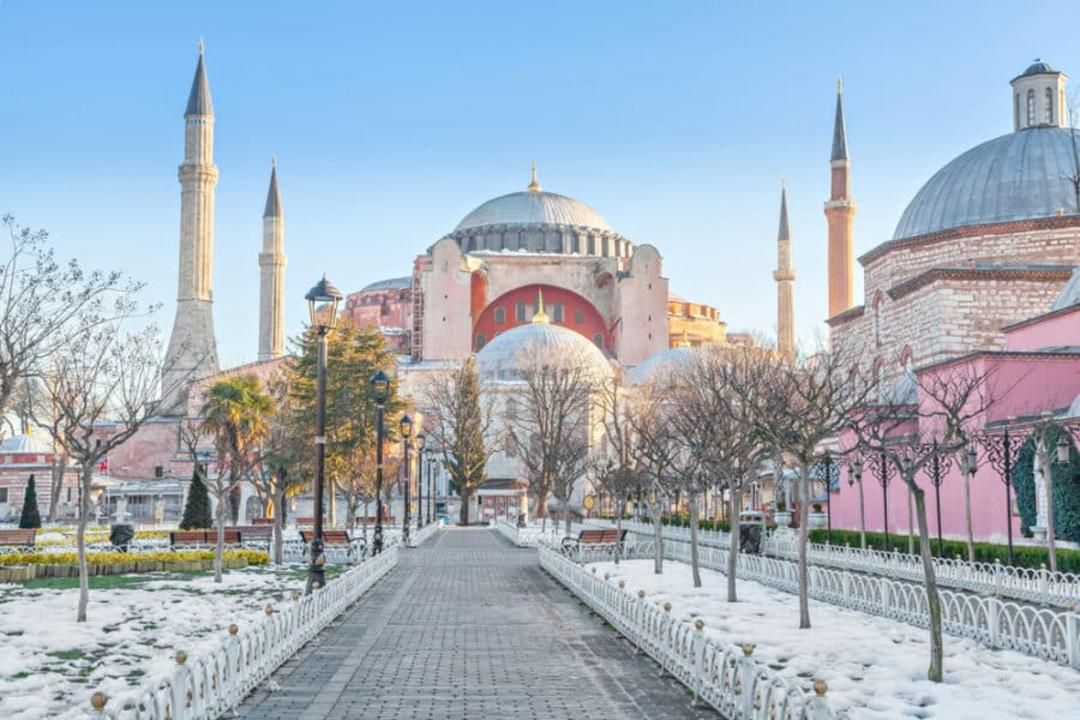 فلای تودی