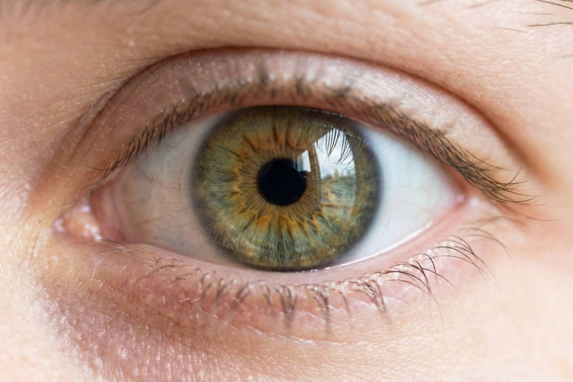 تصویرسازی نمای نزدیک چشم فندقی روشن انسان. چشم پر جنب و جوش و شفاف است.