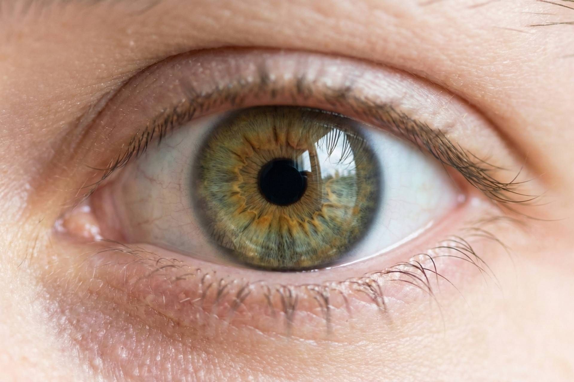 تصویرسازی نمای نزدیک چشم فندقی روشن انسان. چشم پر جنب و جوش و شفاف است.