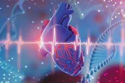 شناسایی ژن ضدپیری‌‌ای که قلب را ۱۰ سال جوان‌تر می‌کند