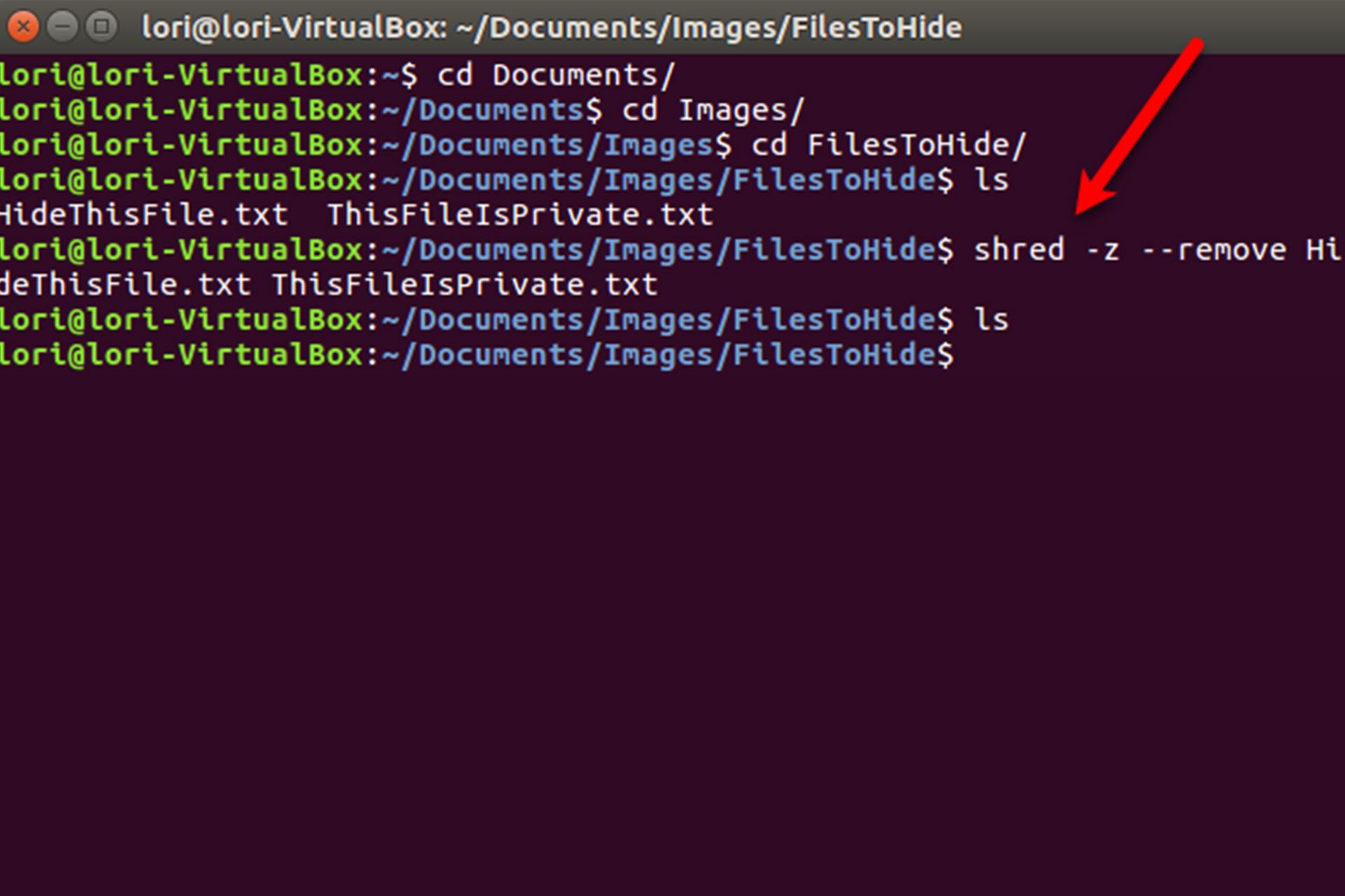 Hide the file in the image using the terminal Step 4