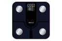 ترازوی وزن کشی هیسکا HISKA HS-3000