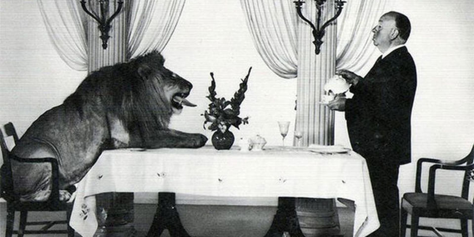 هیچکاک و شیر معروف MGM