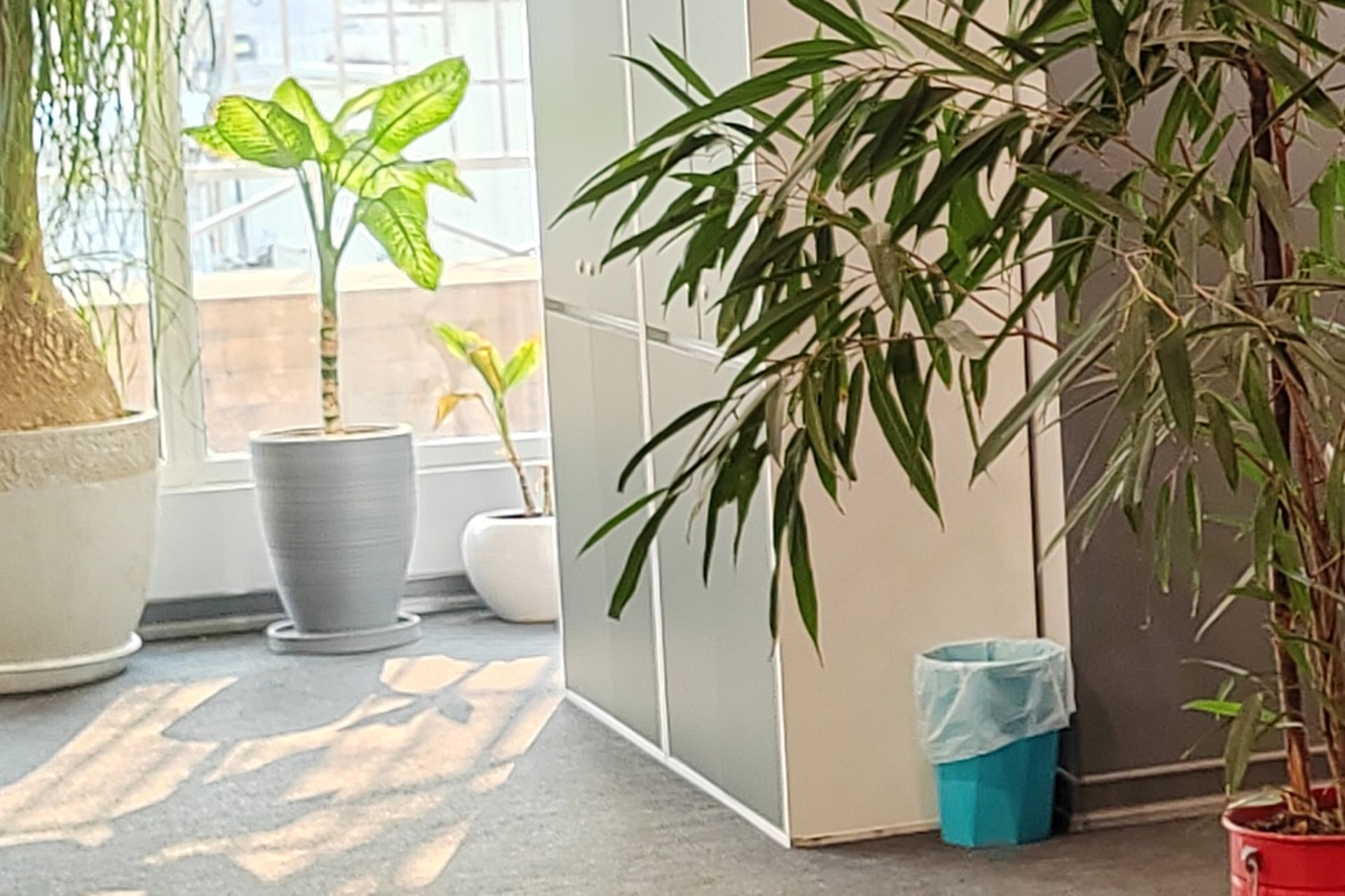 برش عکس HDR ثبت شده اصلی با آنر ۷۰