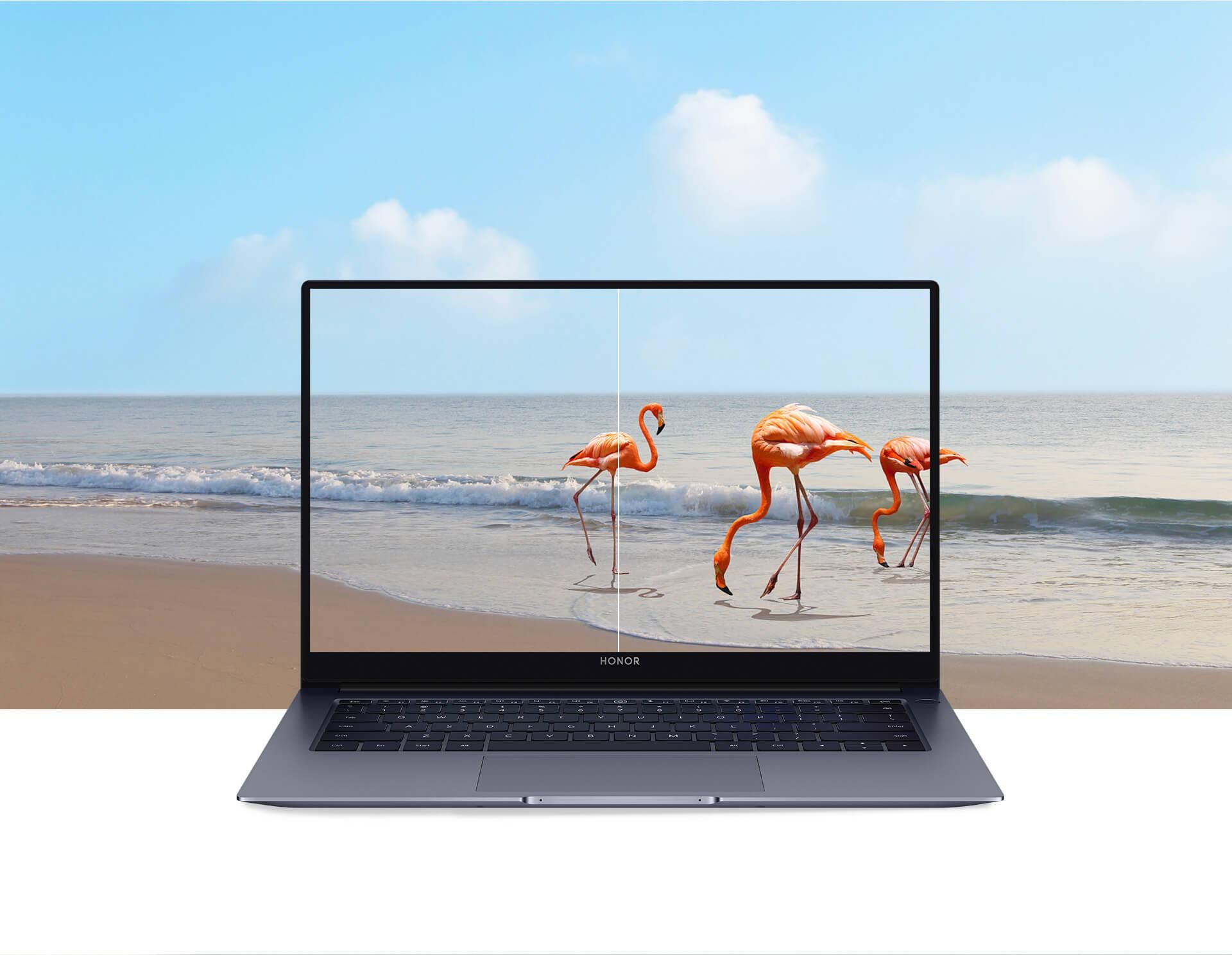 لپ تاپ آنر Notenbook X14 پلاس ۲۰۲۴