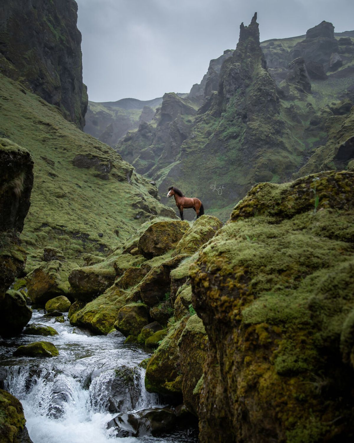 Icelandic horse, the nature of Iceland