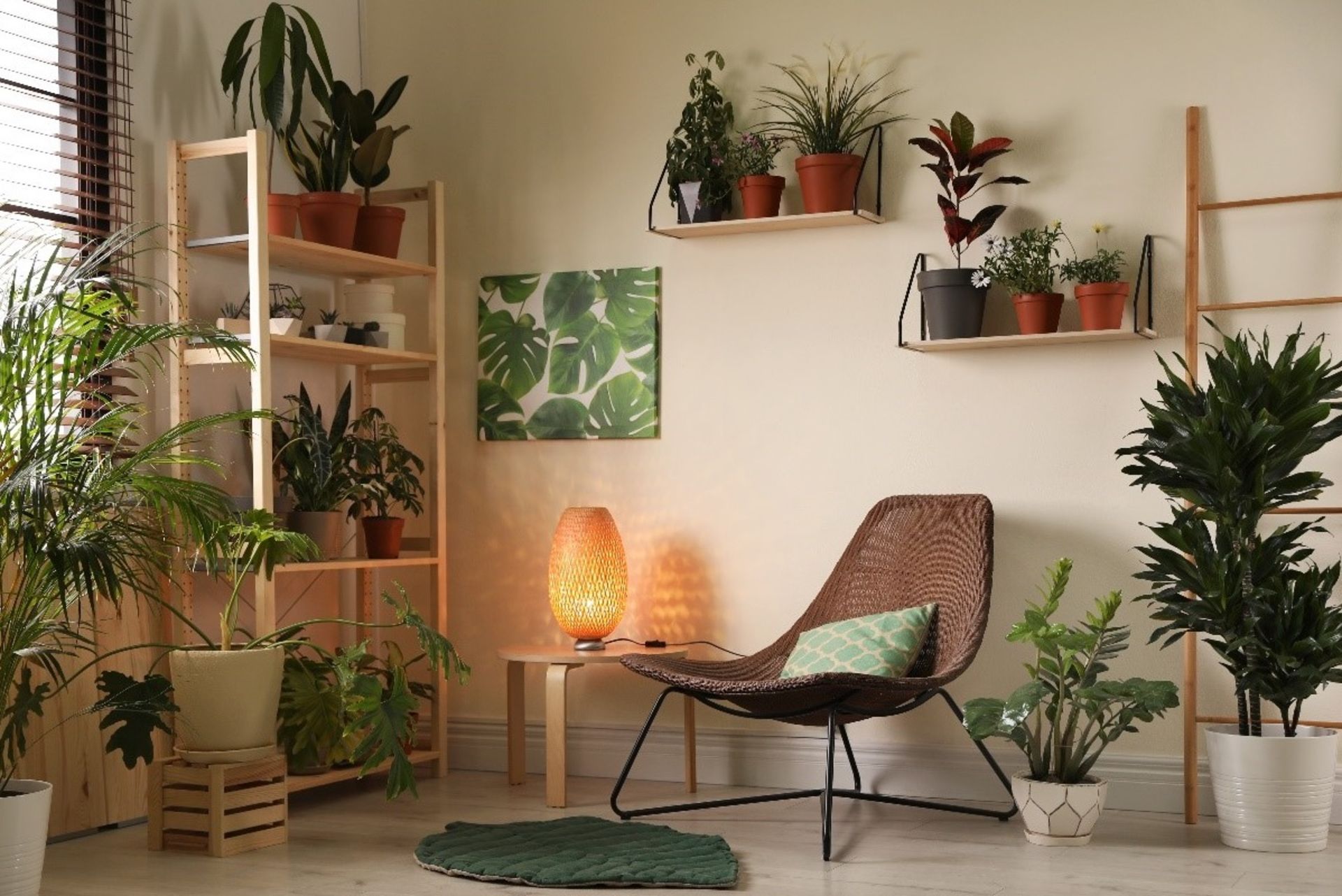 تاثیر گیاهان آپارتمانی بر تصفیه هوا