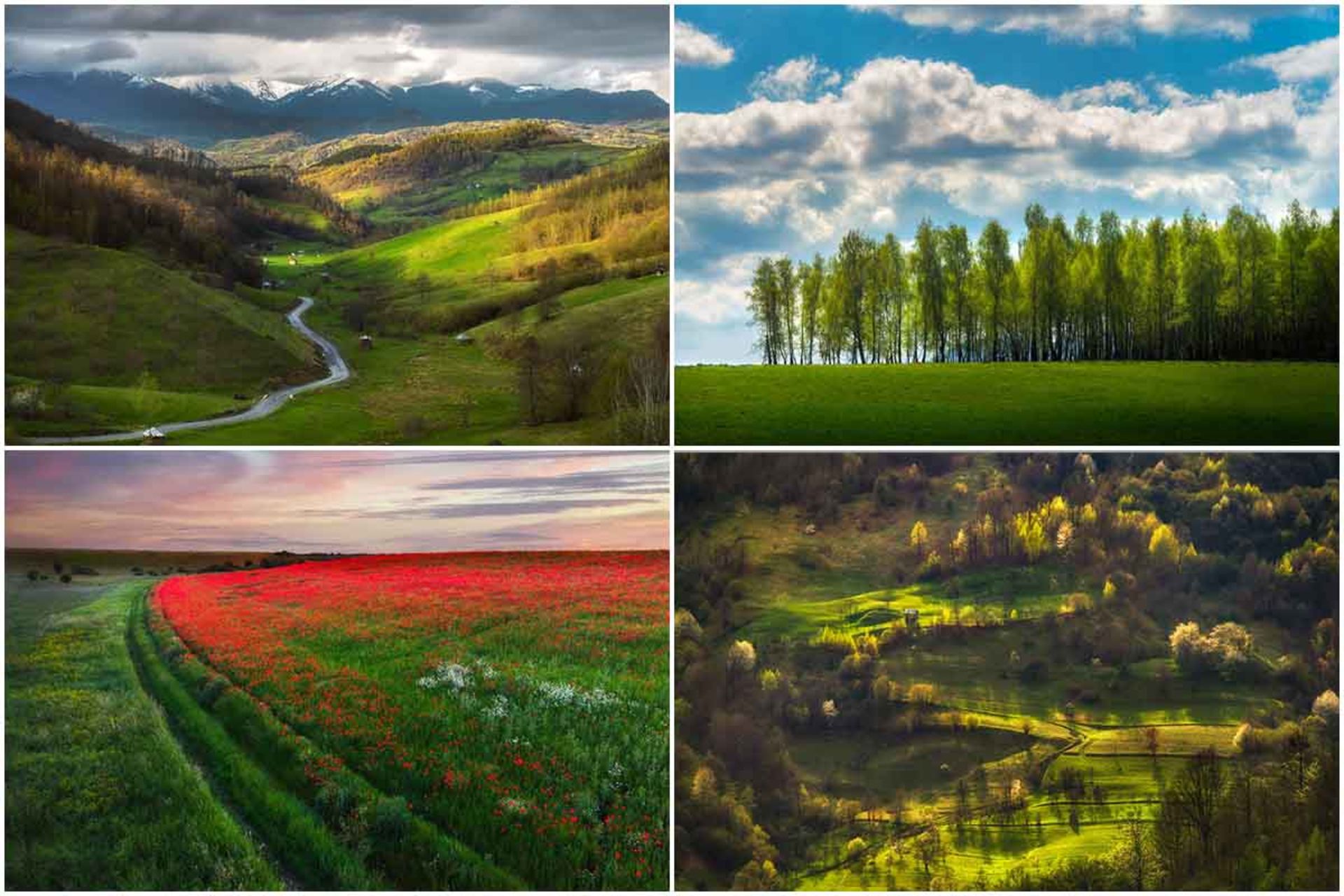 طبیعت رومانی در بهار