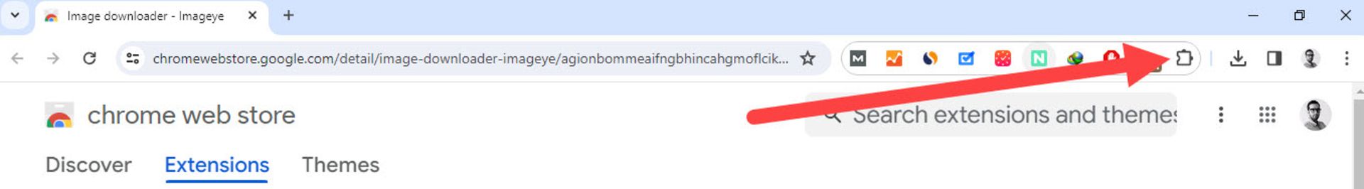 پین‌کردن افزونه Image Downloader در کروم
