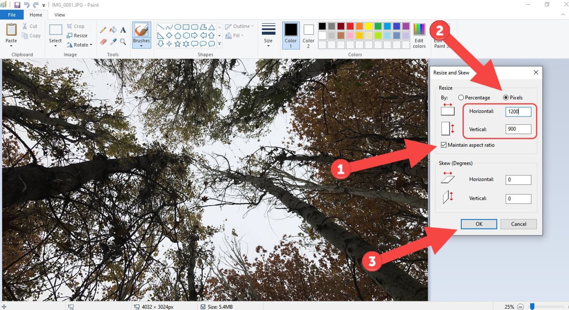 تنظیمات تغییر اندازه عکس در Paint