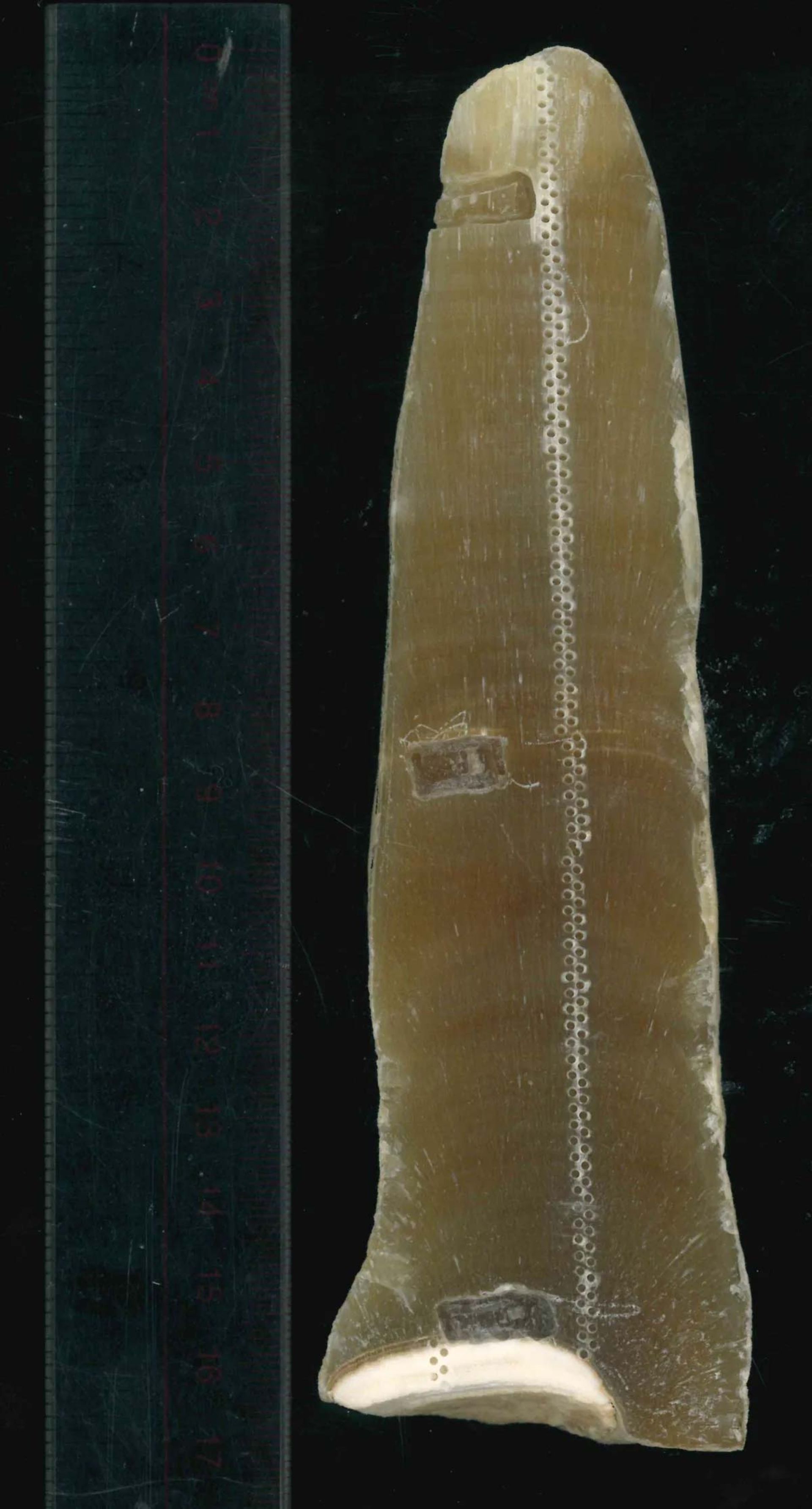 نمای نزدیک از نمونه‌ای از استالاگمیت