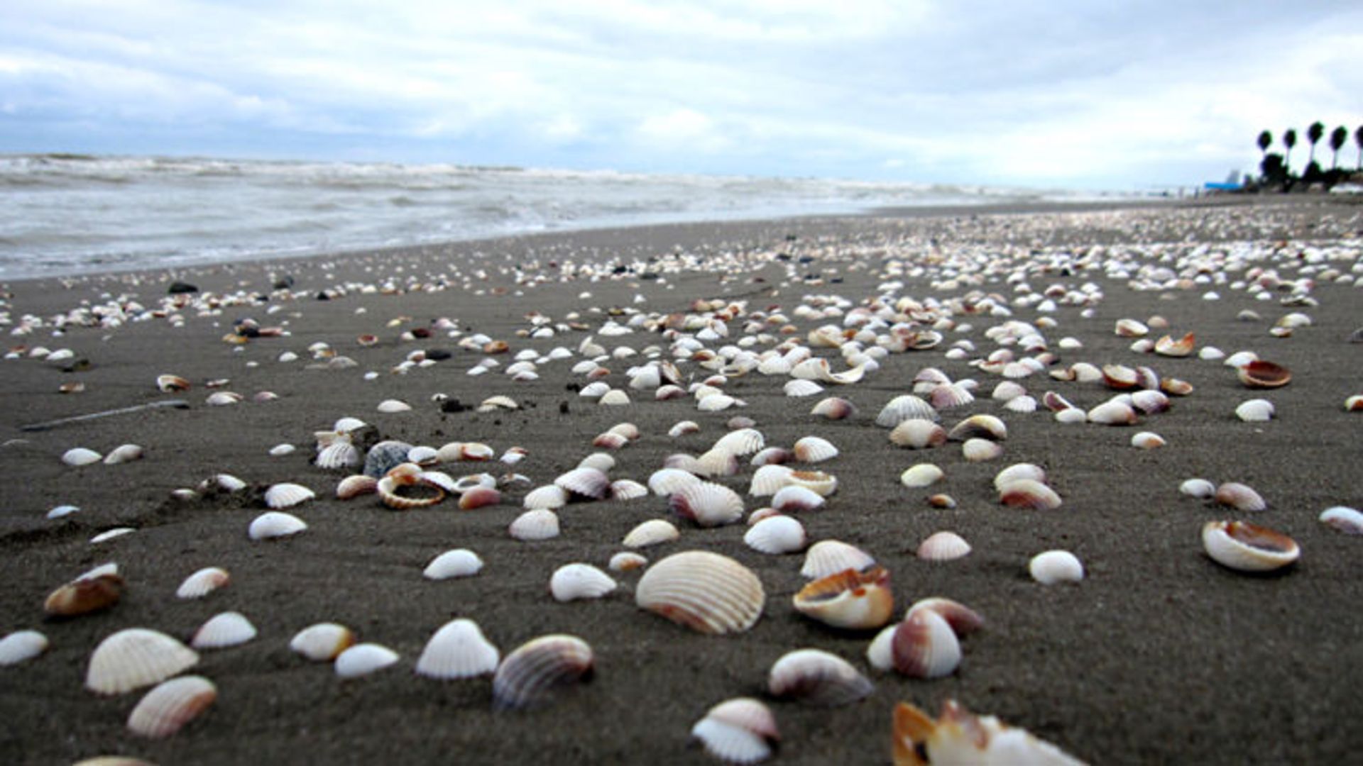 متل قو کجاست