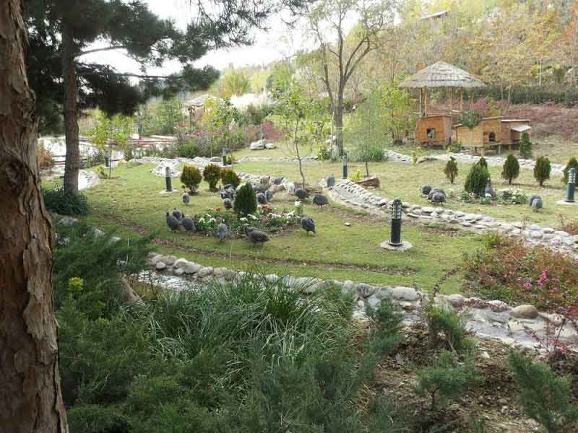 پارک جنگلی لویزان تهران